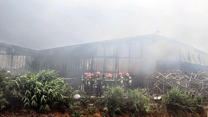 Hỏa hoạn thiêu rụi khu sản xuất nấm của một cơ sở tại Lâm Đồng ảnh 2