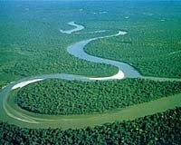 Amazon mới là sông dài nhất thế giới