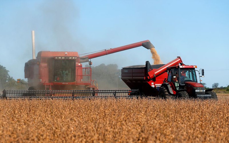Triển vọng mùa vụ ở Mỹ sẽ mở ra một giai đoạn mới cho thị trường nông sản