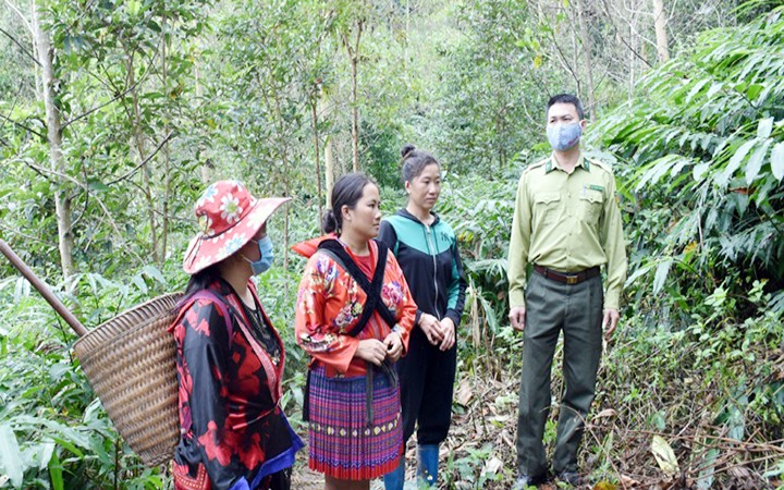 Có những đơn vị nào thực hiện công tác bảo vệ rừng tại Việt Nam?

