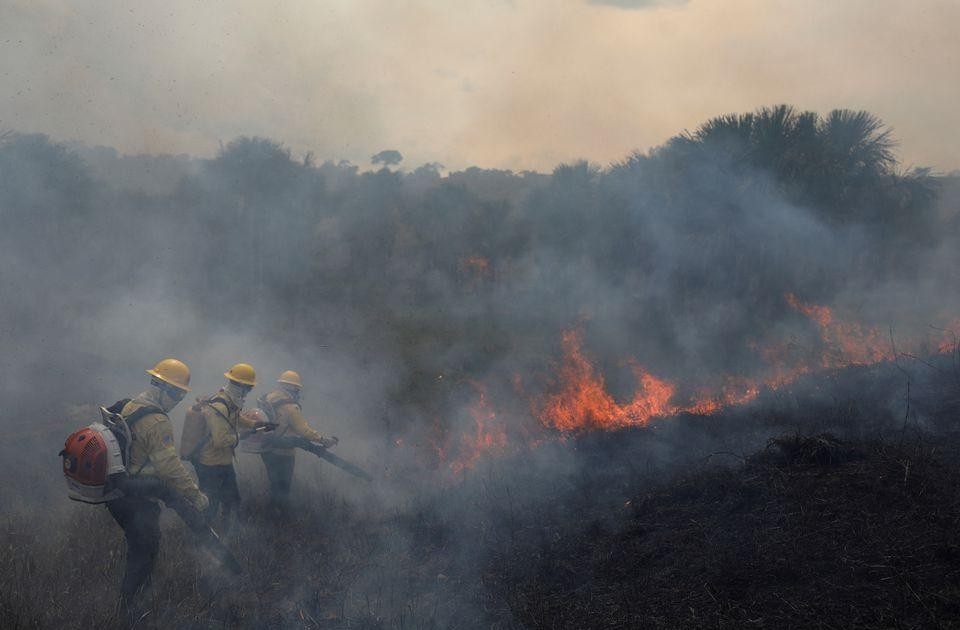 Báo động số vụ cháy rừng Amazon ở Brazil