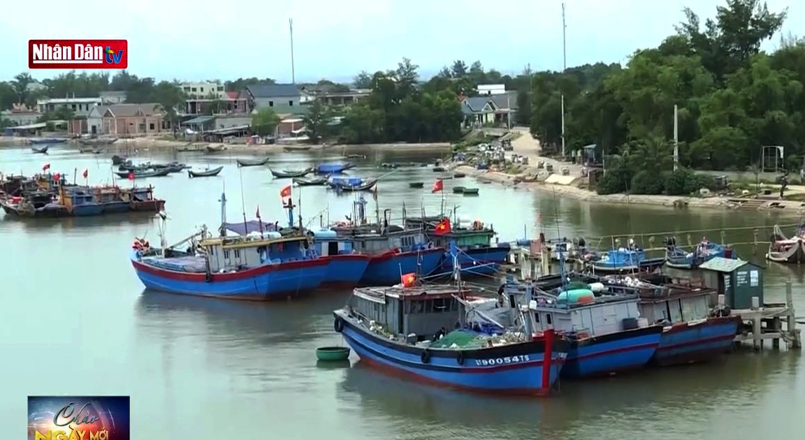 Hiện trạng khai thác và đánh bắt thủy hải sản ở Việt Nam như thế nào?
