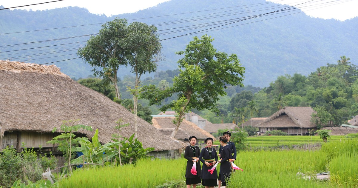 Dân tộc Tày