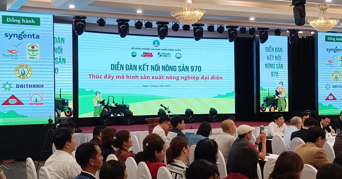 Khai mạc diễn đàn Chuyển đổi số và các mô hình kinh tế mới cho báo chí   Truyền thông  Vietnam VietnamPlus
