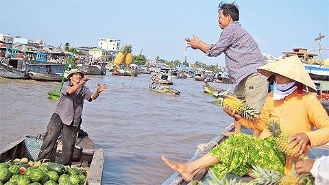 Các loại ghe phổ biến tại Việt Nam?
