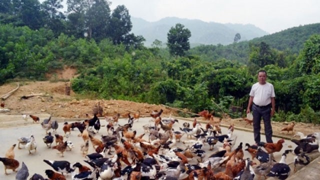 Nông dân Trần Đình Phi  làm giàu từ mô hình VACR  Đài TTTH Huyện Lăk