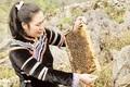 Giám đốc Hợp tác xã Nông lâm nghiệp và Dịch vụ thương mại tổng hợp Pó Mỷ Lưu Thị Hòa kiểm tra đàn ong lấy mật bạc hà. 