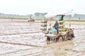 Việc sử dụng máycấy giúp nông dân Hà Nam giảm chi phí và ngày công lao động.