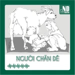 Truyện ngắn: Người chăn dê