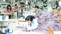 Các doanh nghiệp may gấp rút hoàn thành sớm các đơn hàng trước thời gian áp thuế. Ảnh: NGUYỆT ANH