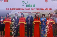 Nghi thức khai mạc Tuần hàng Yên Bái tại Big C Thăng Long. Ảnh: QUANG HƯNG