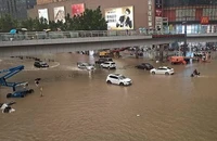 Trung tâm thành phố bị úng ngập, giao thông tê liệt.