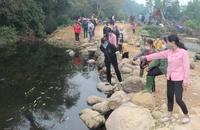 Trang trại của ông Thân Văn Hùng ở xóm Đồng Phú, xã Cát Nê, huyện Đại Từ xả thải ra suối làm cá chết hàng loạt.