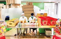 Chế biến hạt điều tại Công ty TNHH Vinahe (thị xã Phước Long, Bình Phước).