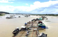 Khu vực nuôi cá bè trên sông La Ngà, tỉnh Đồng Nai.