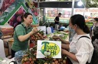 Người tiêu dùng Thủ đô tìm mua các loại trái cây, nông sản đặc sản của các tỉnh, thành phố tại Tuần hàng.