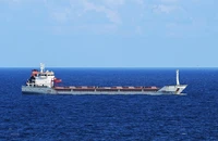 Tàu chở ngũ cốc của Ukraine tới ngoài khơi bờ biển thành phố Istanbul, Thổ Nhĩ Kỳ. (Ảnh: THX/TTXVN)