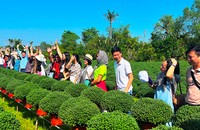 Khách du lịch tham quan vùng sản xuất hoa tại huyện Chợ Lách, tỉnh Bến Tre.