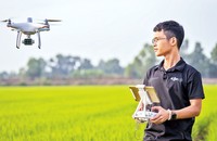 Nguyễn Văn Thiên Vũ với khát vọng ứng dụng công nghệ máy bay không người lái vào nông nghiệp.
