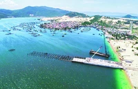 Vịnh Vân Phong có tiềm năng trở thành cảng trung chuyển quốc tế.