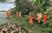 Lực lượng công nhân vận hành, bảo trì khai thác tuyến đường cao tốc Hạ Long-Vân Đồn khắc phục sự cố để sớm thông tuyến, bảo đảm lưu thông.