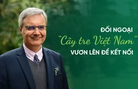 Đối ngoại “cây tre Việt Nam” - vươn lên để kết nối