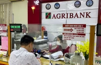 Khách hàng giao dịch tại chi nhánh ngân hàng Agribank.