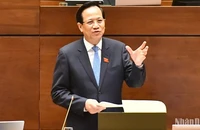 Bộ trưởng Lao động-Thương binh và Xã hội Đào Ngọc Dung trả lời chất vấn của đại biểu Quốc hội. (Ảnh: ĐĂNG KHOA)