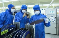 Kiểm tra tấm wafer - thành phần vật lý cốt lõi trong sản xuất chip bán dẫn, tại nhà máy của Công ty TNHH Hana Micron Vina (FDI Hàn Quốc), Khu công nghiệp Vân Trung, tỉnh Bắc Giang. (Ảnh: TUẤN ANH)