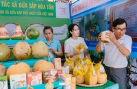 Đặc sản dừa sáp Trà Vinh.