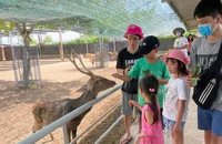 Khách du lịch tham quan trang trại Tiên Tiến Farm & Zoo ở Ninh Thuận. 