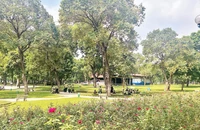 Không gian rộng lớn với mầu xanh mướt cùng những vườn hoa đua nhau khoe sắc tại khu vực Công viên Thống Nhất trên phố Trần Nhân Tông. (Ảnh CẨM ANH)