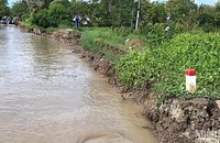 Hiện trường sau vụ sạt lở đất xảy ra trên tuyến đường ô-tô về trung tâm xã Nguyễn Huân, huyện Đầm Dơi, tỉnh Cà Mau.