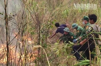 Lực lượng Bộ đội Biên phòng và người dân tham gia chữa cháy rừng tại núi bản Mạt, xã Mường Lèo, huyện biên giới Sốp Cộp, tỉnh Sơn La.