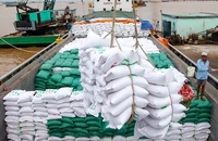 Một số quốc gia đang cấm xuất khẩu gạo cũng đặt ra nhiều cơ hội và thách thức đối với gạo Việt.