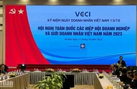 Đội ngũ doanh nhân Việt Nam cần tiếp tục có thêm những đóng góp quan trọng cho sự phát triển, lớn mạnh của nền kinh tế đất nước.