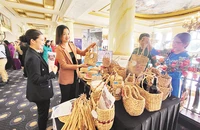 Những sản phẩm nông nghiệp được giới thiệu tại Hội chợ du lịch Bà Rịa-Vũng Tàu.