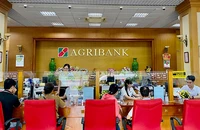 Khách hàng giao dịch tại chi nhánh Ngân hàng Agribank.