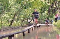 Khách du lịch trải nghiệm đạp xe qua cầu ván tại làng du lịch Mỹ Khánh. 