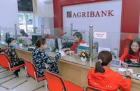 Người dân giao dịch tại chi nhánh Ngân hàng Agribank.