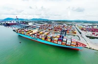 Cảng CMIT, một trong những cảng lớn nhất tại Cái Mép - Thị Vải luôn tiên phong tiếp nhận các tàu trọng tải lớn hơn 200 nghìn tấn. Ảnh: TRÀ NGÂN