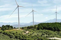 Các tua-bin gió tại dự án điện gió khu vực đồi chè Cầu Đất (TP Đà Lạt).