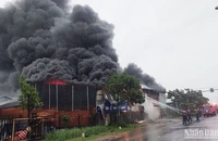 Công an tỉnh Quảng Nam huy động lực lượng, phương tiện nỗ lực dập tắt đám cháy.