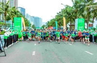 Hơn 9000 vận động viên tham dự cuộc thi Marathon quốc tế Đà Nẵng Manulife 2023