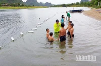 Trẻ em thị trấn Phong Nha (Quảng Bình) học bơi miễn phí trong hè 2022.