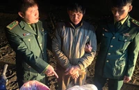Đối tượng vận chuyển trái phép vật liệu nổ bị Bộ đội biên phòng Quảng Bình bắt giữ. 