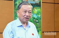 Chủ tịch nước Tô Lâm phát biểu tại phiên thảo luận tổ của Quốc hội, chiều 17/6. (Ảnh: THỦY NGUYÊN)