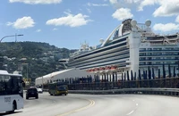 Tàu du lịch Grand Princess neo đậu tại cảng Wellington, New Zealand. (Ảnh minh họa: Reuters) 