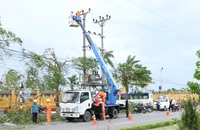 Ngành điện lực Hải Phòng khẩn trương khắc phục các sự cố để cấp điện trở lại cho khách hàng, sáng 8/9. (Ảnh: EVN) 