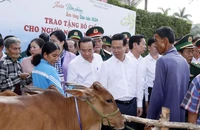 Chủ tịch nước Võ Văn Thưởng tặng bò cho hộ nghèo của chương trình “Xuân biên phòng ấm lòng dân bản”. (Ảnh: TTXVN)